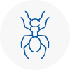 Ant Removals In Tavistock
