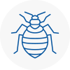 Bed Bug Extermination In Tavistock
