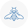 Bee Nest Removal Tavistock