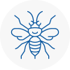 Tavistock Hornet Nest Removals