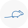 Mice Exterminators In Tavistock