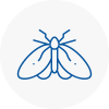 Moth Control Specialists In Tavistock