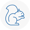 Tavistock Rodent Removals