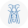 Tavistock Wasp Nest Removal